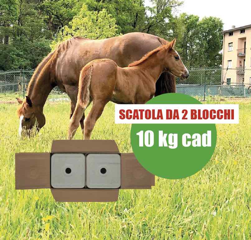 BLOCCO DI SALE 2 X 10KG